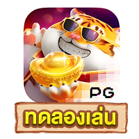 Fortune Tiger​